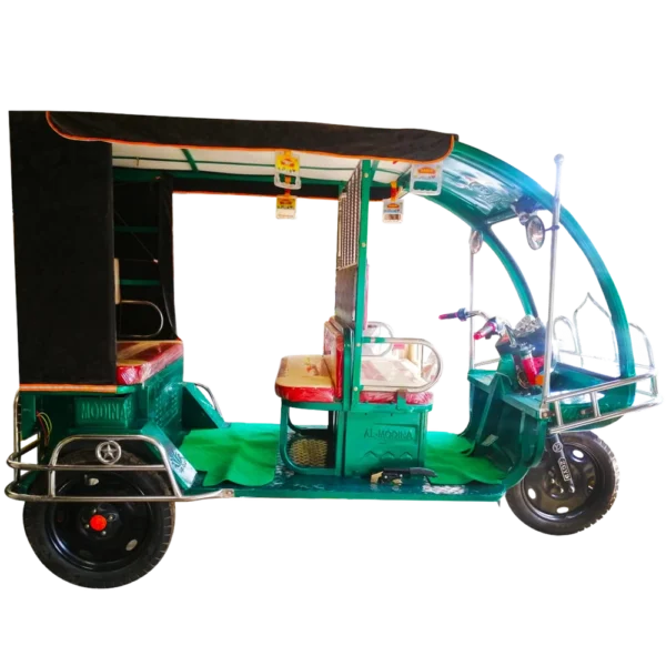 809 Borak Mini Bike