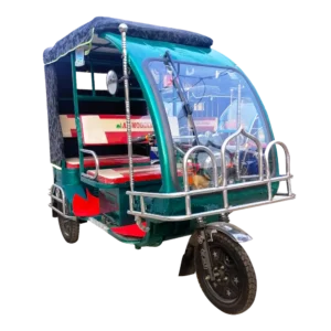 809 Borak Mini Bike